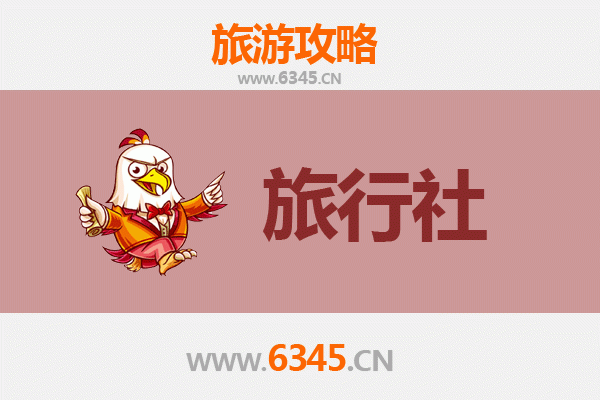 张家界本地旅行社推荐与深度游玩攻略